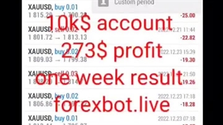 Mastering Forex Automatic Trading: Strategies and Insights