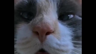 وقتی که از زندگی درسی یاد نگرفتیم بدردمون بخوره آخه ریاضی چه گلی میخواد بسرمون بزنه