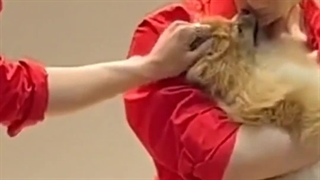 خدایا سگم نشدیم:خنده::خنده: