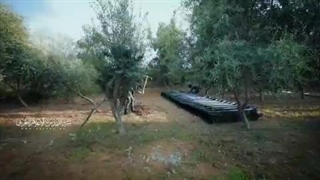 شلیک راکت توسط مقاومت فلسطین در دومین ماه نبرد طوفان الاقصی