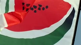 چرا استفاده از ایموجی هندوانه، زیاد شده است؟