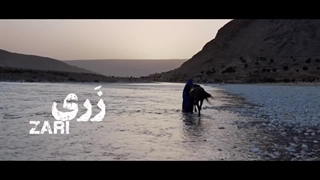 دانلود مستند زری اصلاح طرح لبخند