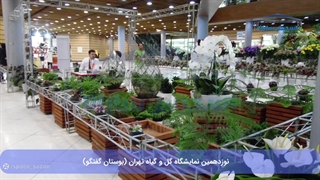 پروژه غرفه سازی نوزدهمین نمایشگاه گل وگیاه تهران بوستان گفتگو 1402