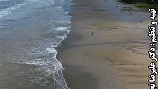 حسادت عجیب غریب آدما