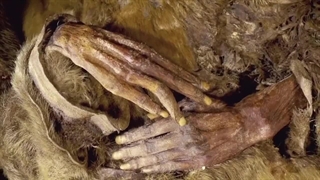 مومیایی های سالم:جسدهایی که به طور طبیعی مومیایی شده اند