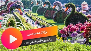 باغ گل معجزه