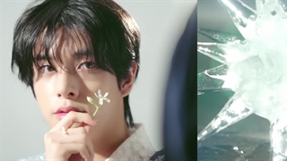 پیش نمایش البوم Orange bloodاز انهایپن