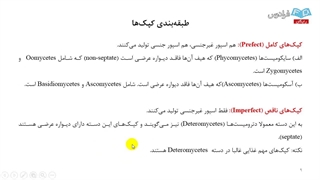 طبقه بندی میکروارگانیسم ها