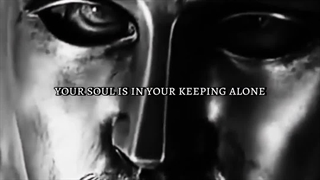 پادشاهی بهشت