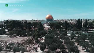 کلیپ از هیروشیما تا غزه