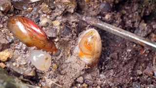 الگوهای اسرارآمیز عقیق در مناطق صخره‌ای طبیعی