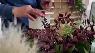 دکور جشن شب یلدا همراه با گل آرایی .جشن یلدایی با تم روستیک