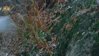 Ep10)دانلود سریال چینی طرح جیانگهو Drawing Jianghu The Degenerate 2023 - قسمت ۱۰ - زیرنویس فارسی چسبیده