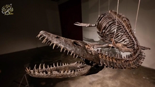 چیزهایی که درباره دایناسورها به شما دروغ گفته اند