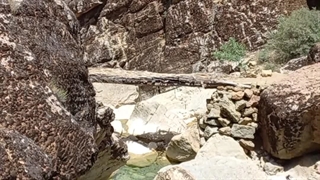 کبوتر لانه،چم تکله