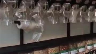 قیمت سیلو قهوه فردیس