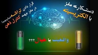 آیا تراشه‌(میکروچیپ)های مغزی واقعیت دارند؟