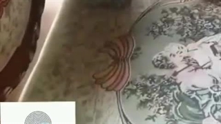 مبل شویی و قالیشویی پاک تکتا