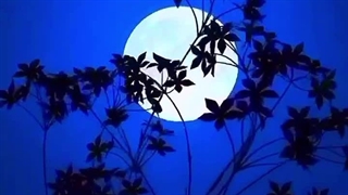 ولی من عاشقه وایبش شدم! :))))))