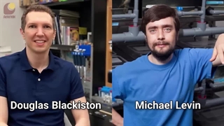 زینوبات، ربات زنده