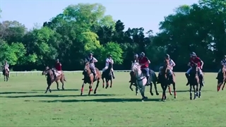 فیلم پیپا  با دوبله فارسی /Pipa 2022