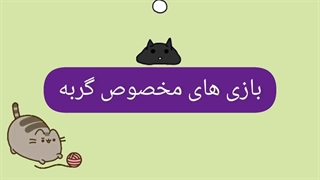 بازی های مورد علاقه گربه ها