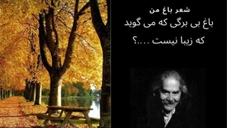 مهدی اخوان ثالث باغ من (باغ بی برگی )