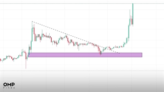 نگاهی به ۵ رمزارز برتر هفته | او ام پی فینکس