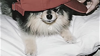 انگار همین دیروز بود ک این عکسا تازه اومده بودو ما با هربار دیدنشون غش میکردیم..! :)