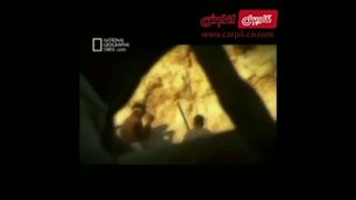 با تاریخچه بیرینگ آشنا شوید