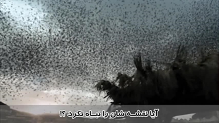 سوره فیل - ترجمه صوتی و تصویری ۱۱۴ سوره قرآن مهر