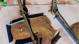 تیزر کارخانه پسته غفلتی