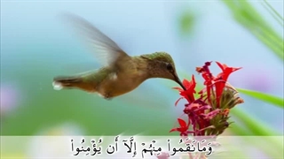 سوره بروج - ترجمه صوتی و تصویری ۱۱۴ سوره قرآن مهر