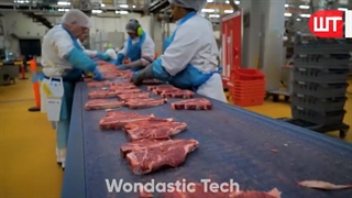 فرایند برش و بسته بندی گوشت گاو - موج کره ای