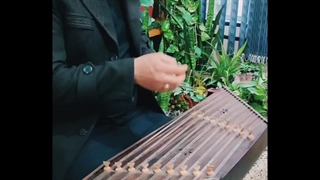 سنتور نوازی  رسم زمونه 