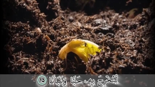 سوره نبا - ترجمه صوتی و تصویری ۱۱۴ سوره قرآن مهر