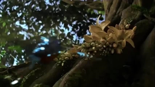 سوره غافر - ترجمه صوتی و تصویری ۱۱۴ سوره قرآن مهر