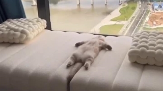 گشاده من ....