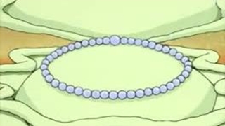 مرد عنکبوتی جنگ با مرد ابی