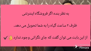 نکات مهم خرید گل و گیاه برای سفارش های اینترنتی