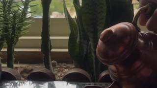 سلام ظهر بخیر ( شاید نیام )