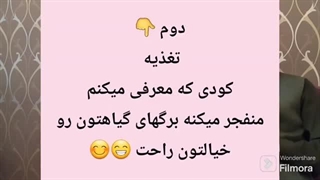 روش پهن کردن برگ گیاه | پهن شدن برگ گیاهان آپارتمانی