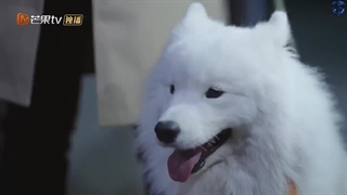 تماشای قسمت یازدهم سریال My Precious/ محبوب من با زیرنویس فارسی چسبیده