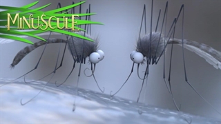 انیمیشن جالب موجودات کوچک