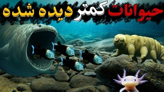 عجیب ترین حیوانات جهان که شاید ندیده باشین
