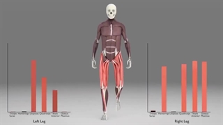 30 حقیقت جالب و شگفت انگیز در بدن انسان که نمیدانستید
