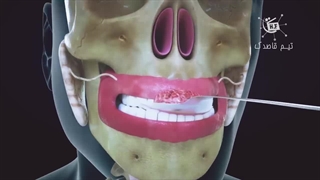 دستگاه گوارش بدن ما چگونه غذا هضم تبدیل میکند