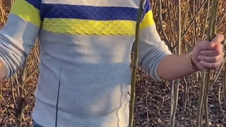 راهنمای خرید نهال گردو