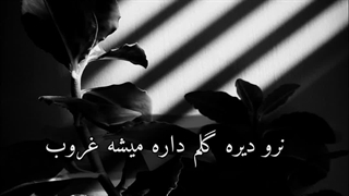 Bimeye omr_Shervin hajipour