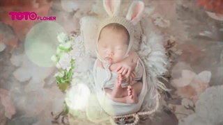 گل های مناسب برای تبریک تولد نوزاد